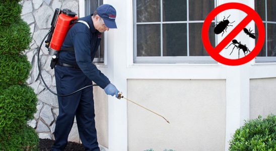 Kozlu Akrep İlaçlama böcek ilaçlama ve haşere kontrolü — ilaclama-tr.com